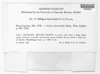 Image Associated With the Occurence
